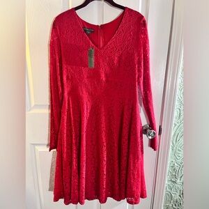 Covington NWT just below knee long sleeve lace dress